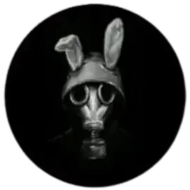 rabbit web apk